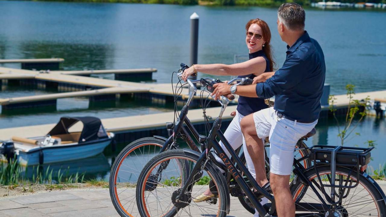 度假屋 刺 荷兰