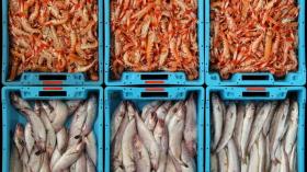 Maison de vacances Blanes Loyer Espagne