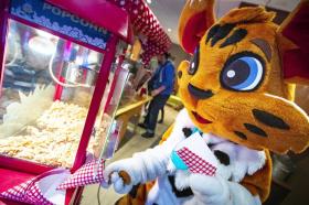 Дом отдыха Самоэн Аренда Франция