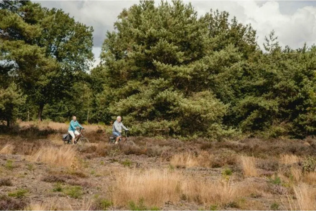 Feriehus Wierden  Nederland