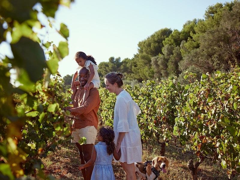 Feriehus Pas de la Casa  Andorra