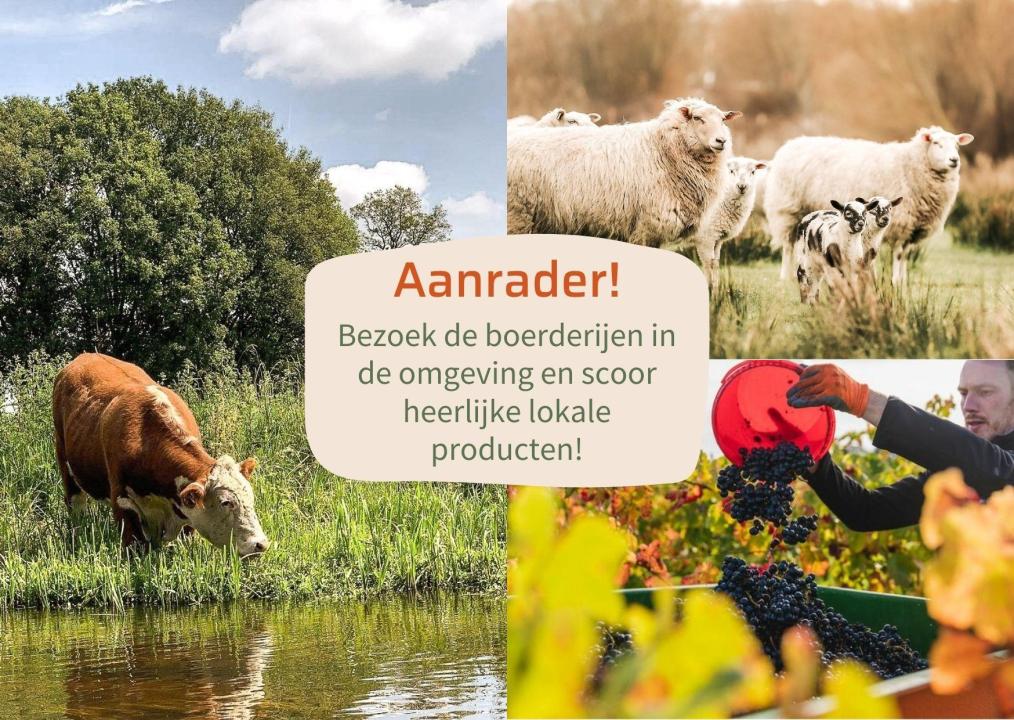 Ferienhaus Rijssen zu mieten Niederlande