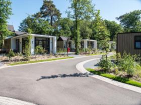 Holiday home for rent in Beekbergen-Beekbergen, Netherlands