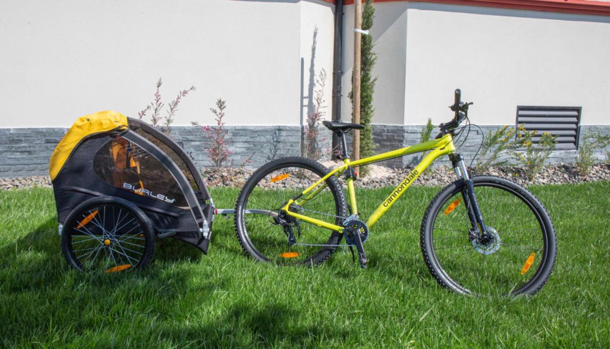 別荘 サン・シプリアン  フランス