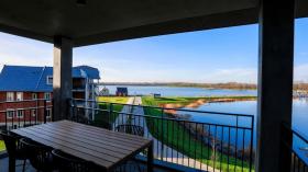 度假屋 刺  荷兰