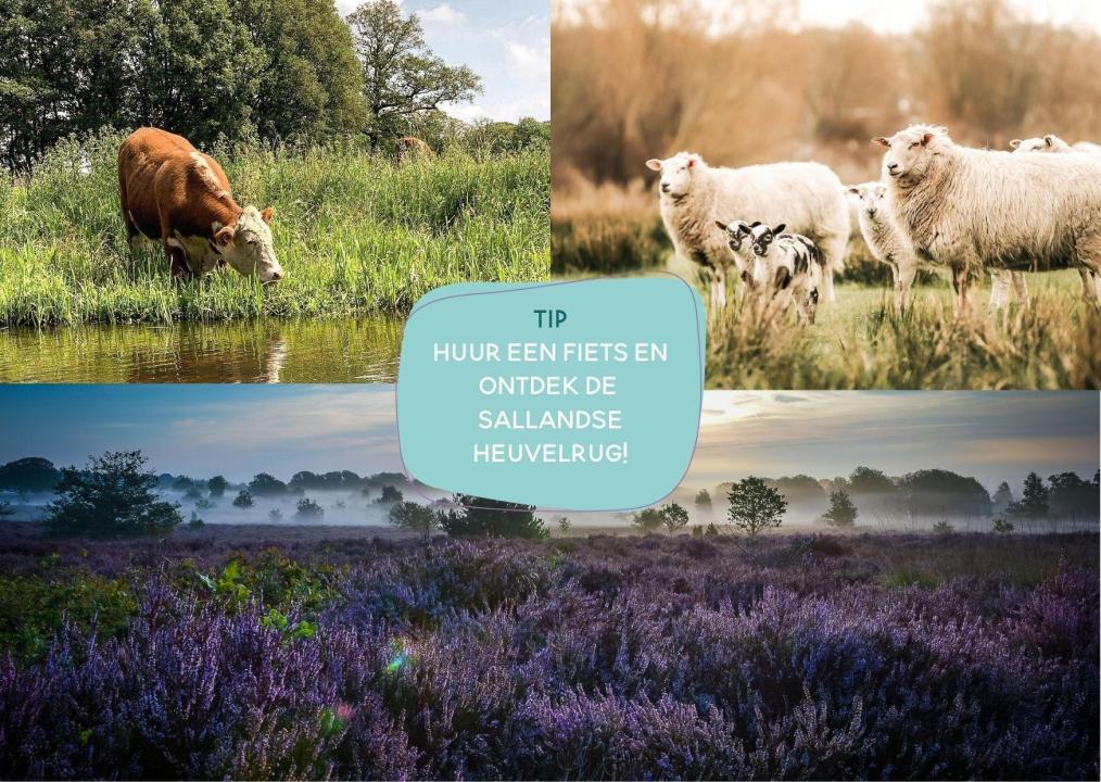 Vakantiehuis Wierden te huur Nederland