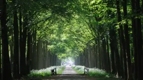 Holiday home Wierden for rent Netherlands