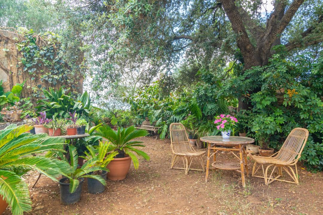 σπίτι διακοπών Son Mesquida Προς Ενοικίαση Ισπανία