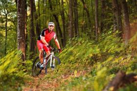 Дом отдыха Винтерберг Аренда Германия