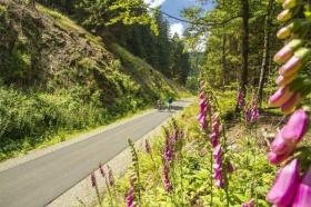 Дом отдыха Винтерберг Аренда Германия