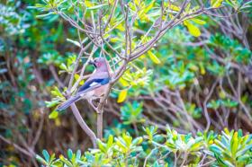casa per le vacanze San Vincenzo In affitto Italia