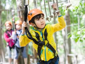 別荘 サンラファエル フランス