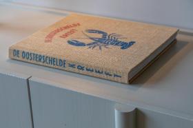 Tatil evi Zoutelande Kiralık Hollanda