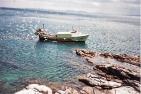 別荘 バラ  スペイン