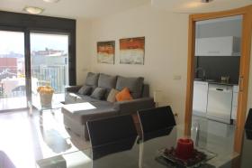 別荘 バラ  スペイン