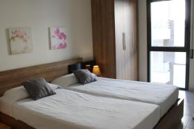 別荘 バラ  スペイン