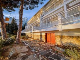 別荘 バラ  スペイン