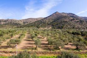 Holiday home Roses for rent Spain