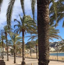 Ferienhaus Rosen zu mieten Spanien