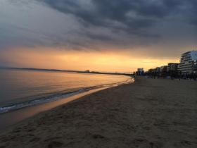 Ferienhaus Rosen zu mieten Spanien