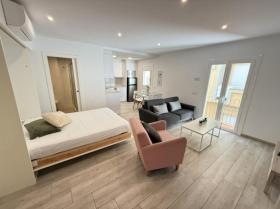 別荘 バラ  スペイン