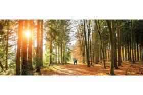 casa per le vacanze Ermelo In affitto Olanda