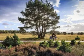 Tatil evi Ede Kiralık Hollanda
