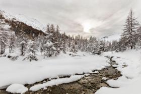 بيت العطلات Livigno للإيجار ايطاليا