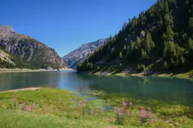 casa per le vacanze Livigno In affitto Italia