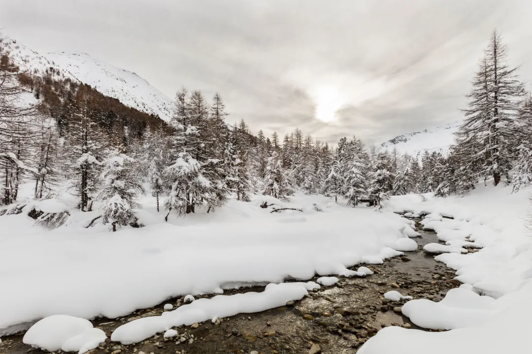 度假屋 Livigno  意大利