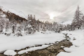 Tatil evi Livigno Kiralık Italy