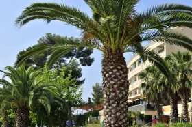 Holiday home Bandol for rent France