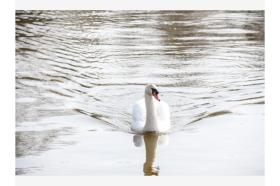 Casa de férias Loosdrecht Aluguéis Holanda