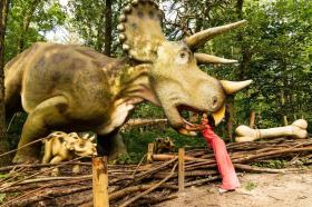 σπίτι διακοπών Voorthuizen Προς Ενοικίαση Ολλανδία