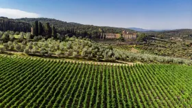 Ferienhaus zu vermieten in Rignano sull’Arno, Italien