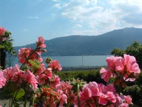 Vakantiehuis Verbania te huur Italy