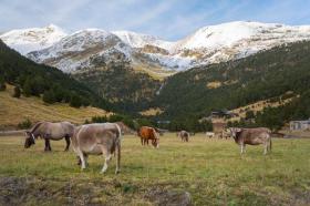 Casa de férias Canillo Aluguéis Andorra