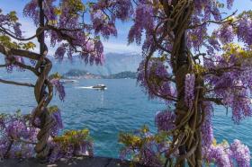 Holiday home Argegno For Rent Italy