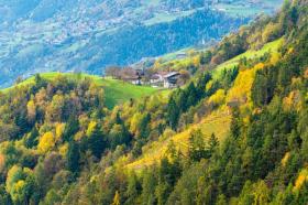 Ferienhaus Falcade zu mieten Italien