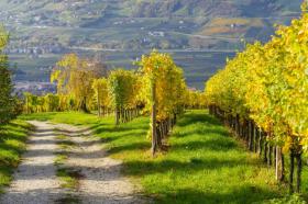 Ferienhaus Falcade zu mieten Italien
