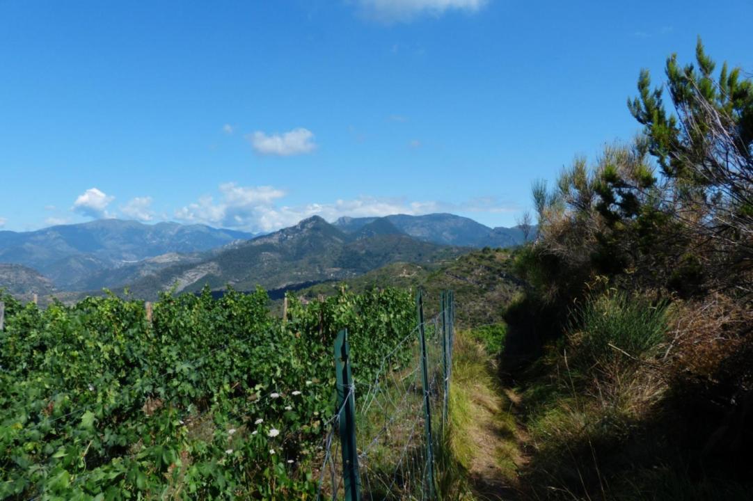 Ferienhaus Villanova d'Albenga zu mieten Italien