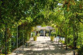 Ferienhaus Mandelieu-la-Napoule zu mieten Frankreich