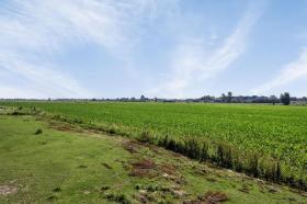 Vakantiehuis Lexmond Te Huur Nederland