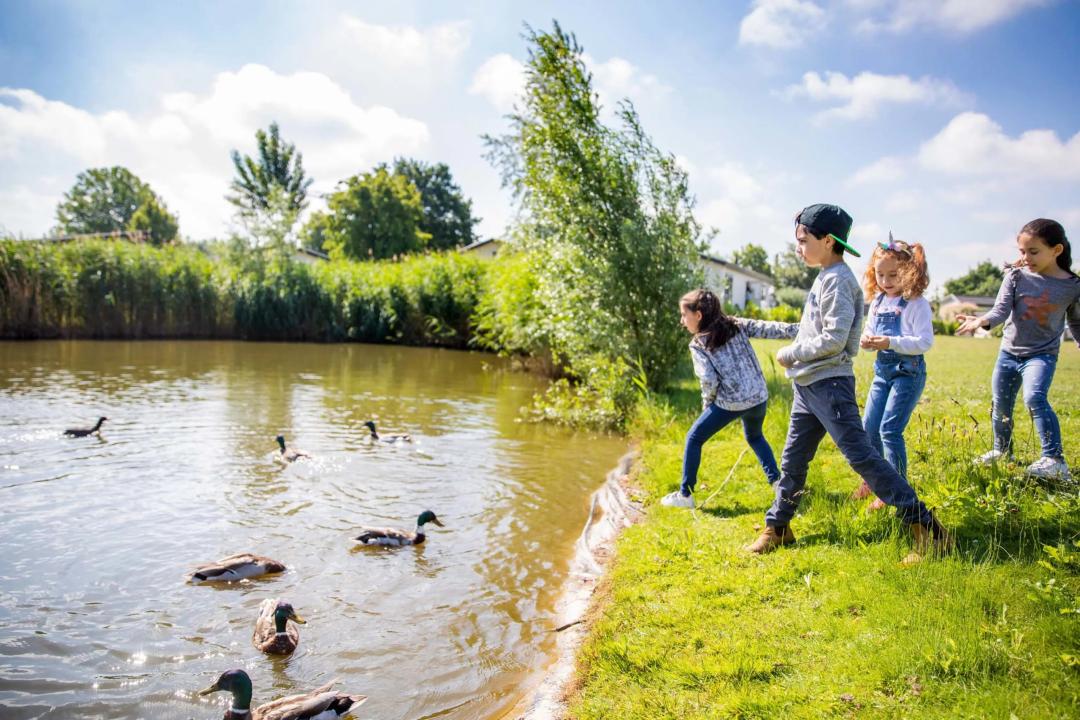 Casa de férias Aalst Aluguéis Holanda