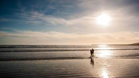 Dom wakacyjny L'Aiguillon-sur-Vie Francja
