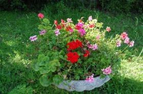 Holiday home Tuoro sul Trasimeno for rent Italy