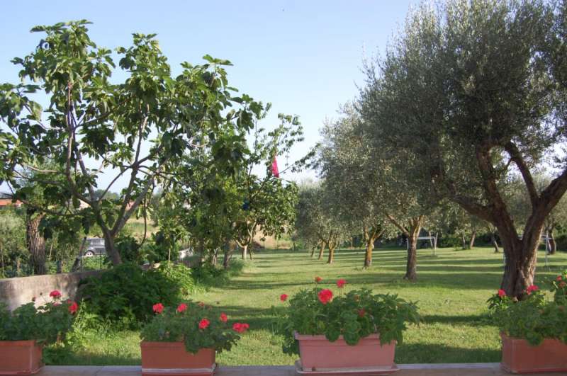 Holiday home Tuoro sul Trasimeno For Rent Italy