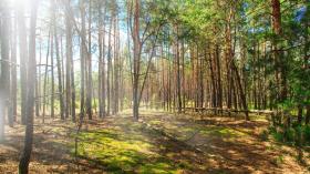 Holiday home Saint-Jean-de-Monts For Rent France