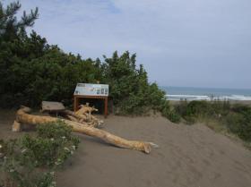 Casa de férias Marina di Castagneto Aluguéis Itália