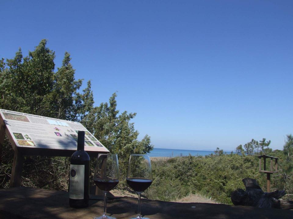 Tatil evi Marina di Castagneto Kiralık Italy